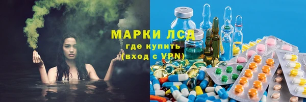 эйфоретик Богданович