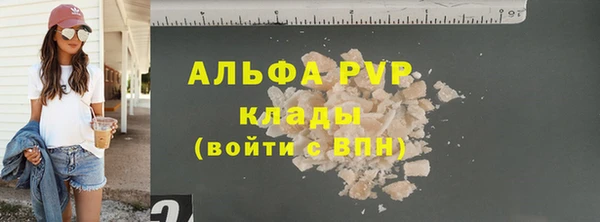 эйфоретик Богданович