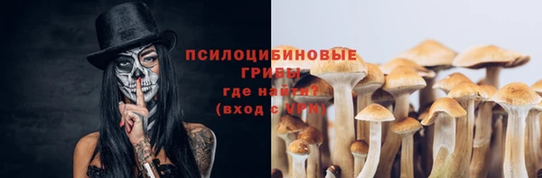 ALPHA PVP Богородицк
