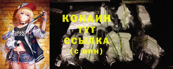 эйфоретик Богданович