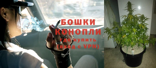 ALPHA PVP Богородицк